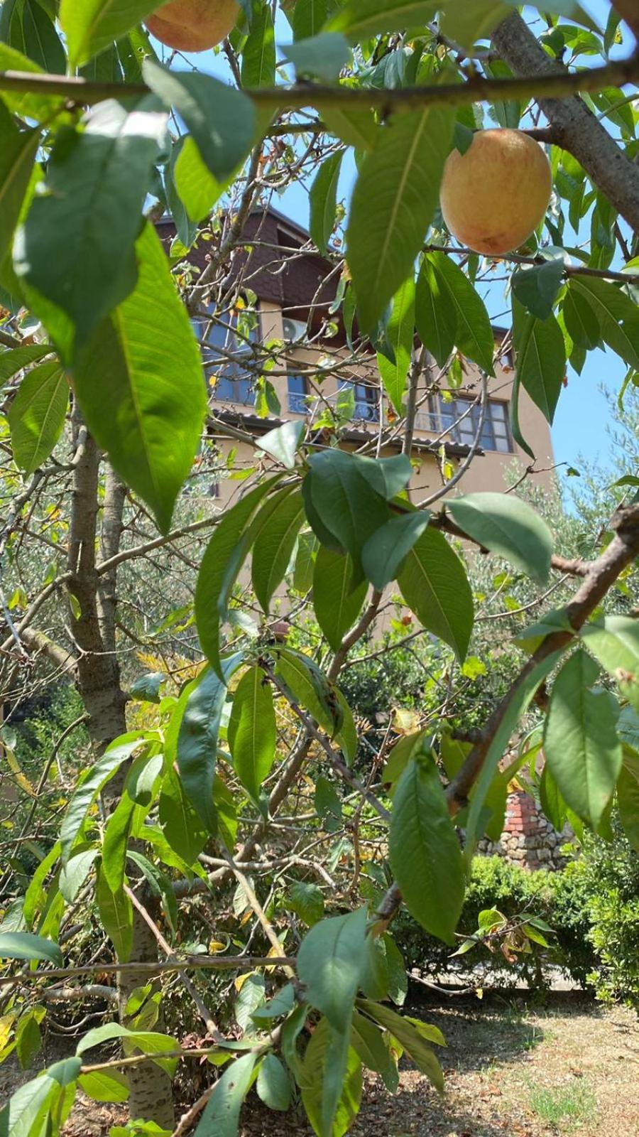 Villa Mugs Ljaknasi Esterno foto